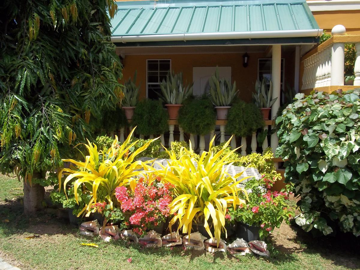 Buccoo Reef View Hotel Exterior photo